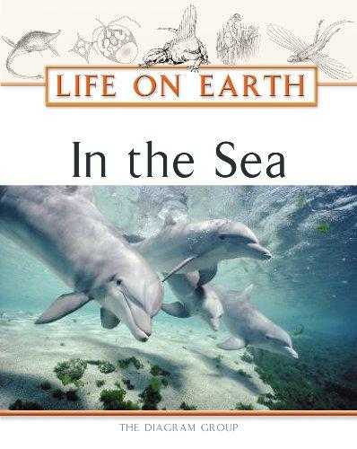 In The Sea