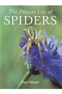 Private Life Of Spiders