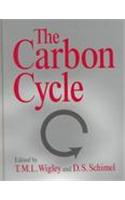 The Carbon Cycle