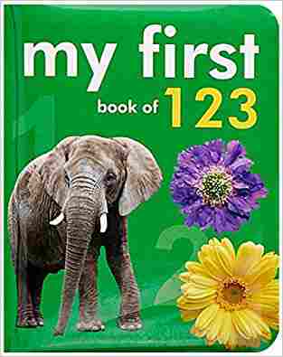 Babys First Book Of Numbers 123
