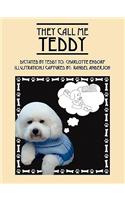They Call Me Teddy
