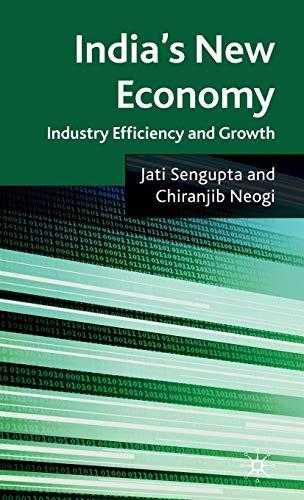 Indias New Economy: Industry Efficiency And Growth