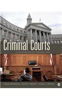 Criminal Courts: A Contemporary Perspective