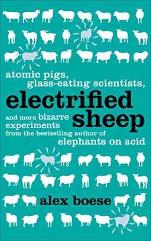 Electrified Sheep