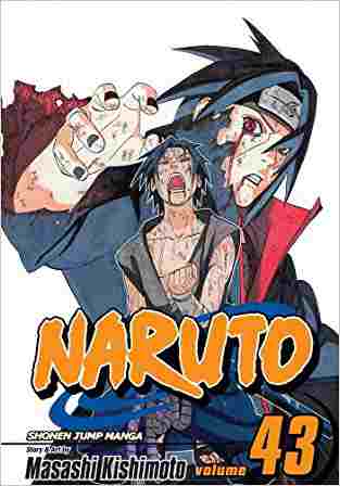 Naruto, V43