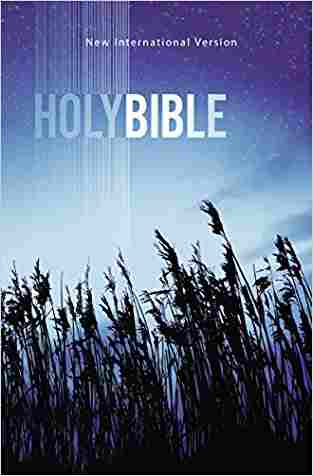 NIV Holy Bible (Bible Niv)