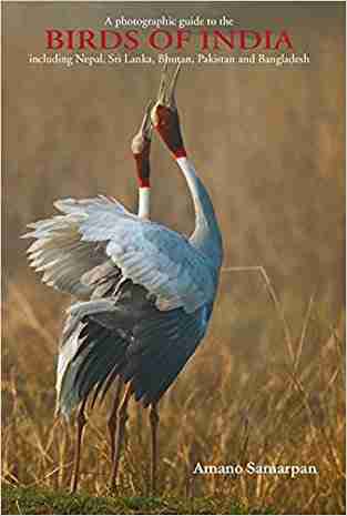 Birds Of India