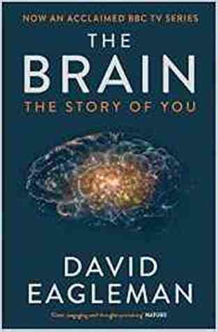 The Brain