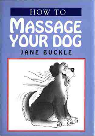 How To Massage Your Dog