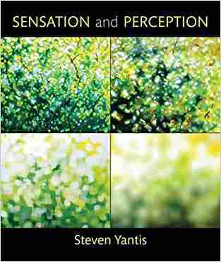 Sensation And Perception