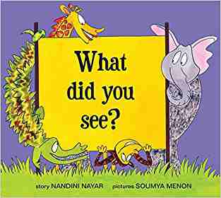 What Did You See?