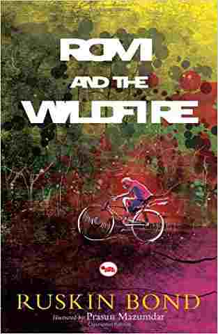 Romi And The Wild Fire