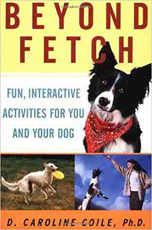 Beyond Fetch: Fun, Interactive Activities For You And Your Dog