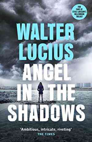 Angel In The Shadows: The Heartland Trilogy, Book Two