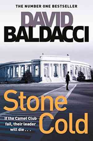 Stone Cold (camel Club, #3)