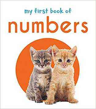 My First Book Of Numbers: First Board Book (my First Books)