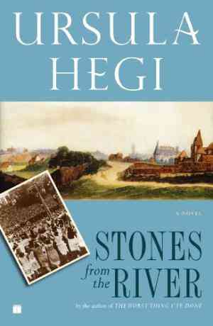 Stones from the River (Burgdorf Cycle, #1)