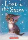 Lost In The Snow