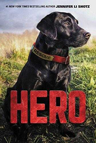 Hero (hero #1)