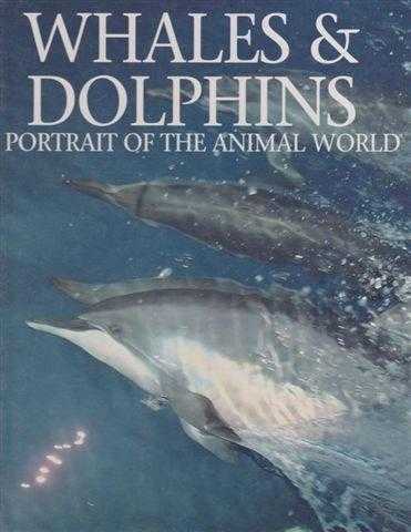 Whales & Dolphins
