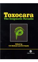 Toxocara: The Enigmatic Parasite