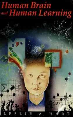 Human Brain & Human Learning