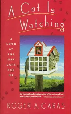 A Cat Is Watching