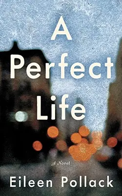 A Perfect Life A Novel