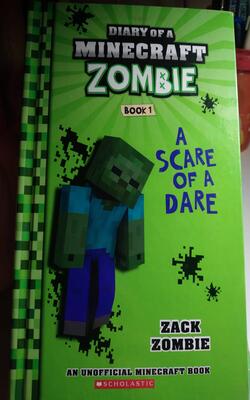 Diary Of A Minecraft Zombie