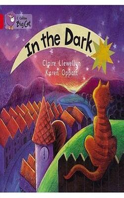 In The Dark