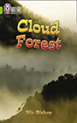 The Cloud Forest