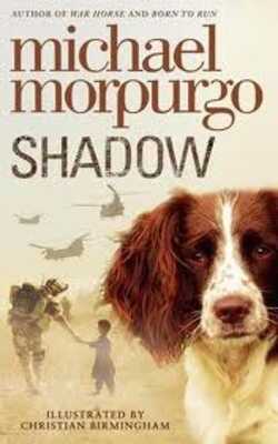 Shadow