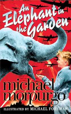 An Elephant In The Garden