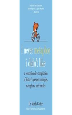 Never Metaphor I Didnt Like