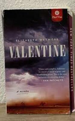 The Invisible Ones, She Is Free, Valentine, HER LAST HOLIDAY :- Pack of 4 books