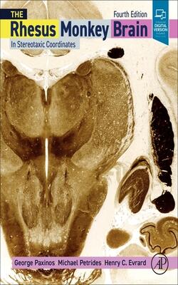 Rhesus Monkey Brain In Stereotaxic Coordinates:  4ed