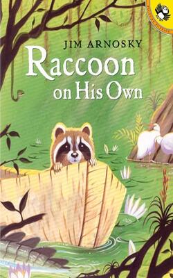 Raccoon On His Own