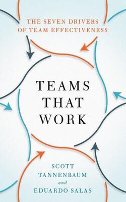 Teams That Work: The Seven Drivers Of Team Effectiveness