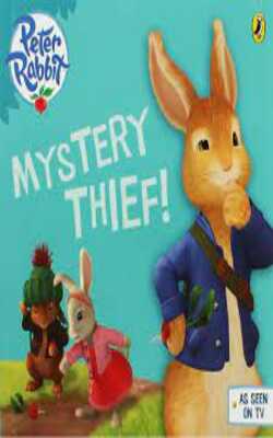Mystery Thief !
