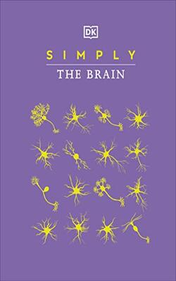 Simply The Brain (lead Title)