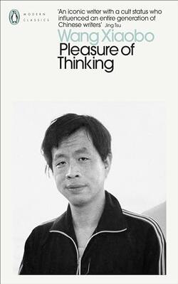 Pleasure Of Thinking
