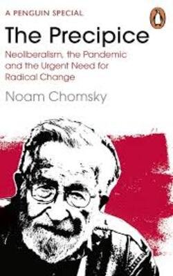 The Precipice Neoliberalism The Pandemic And The Urgent Need For Social Change