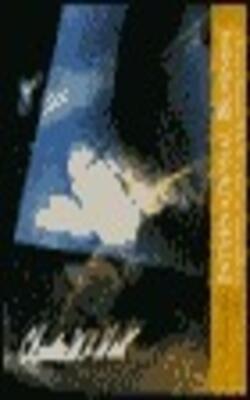 International Business- Competing In The Global Marketplace- Postscript 1997