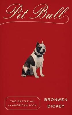 Pit Bull