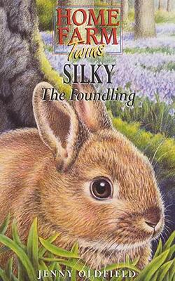 Silky The Foundling (home Farm Twins, #16)