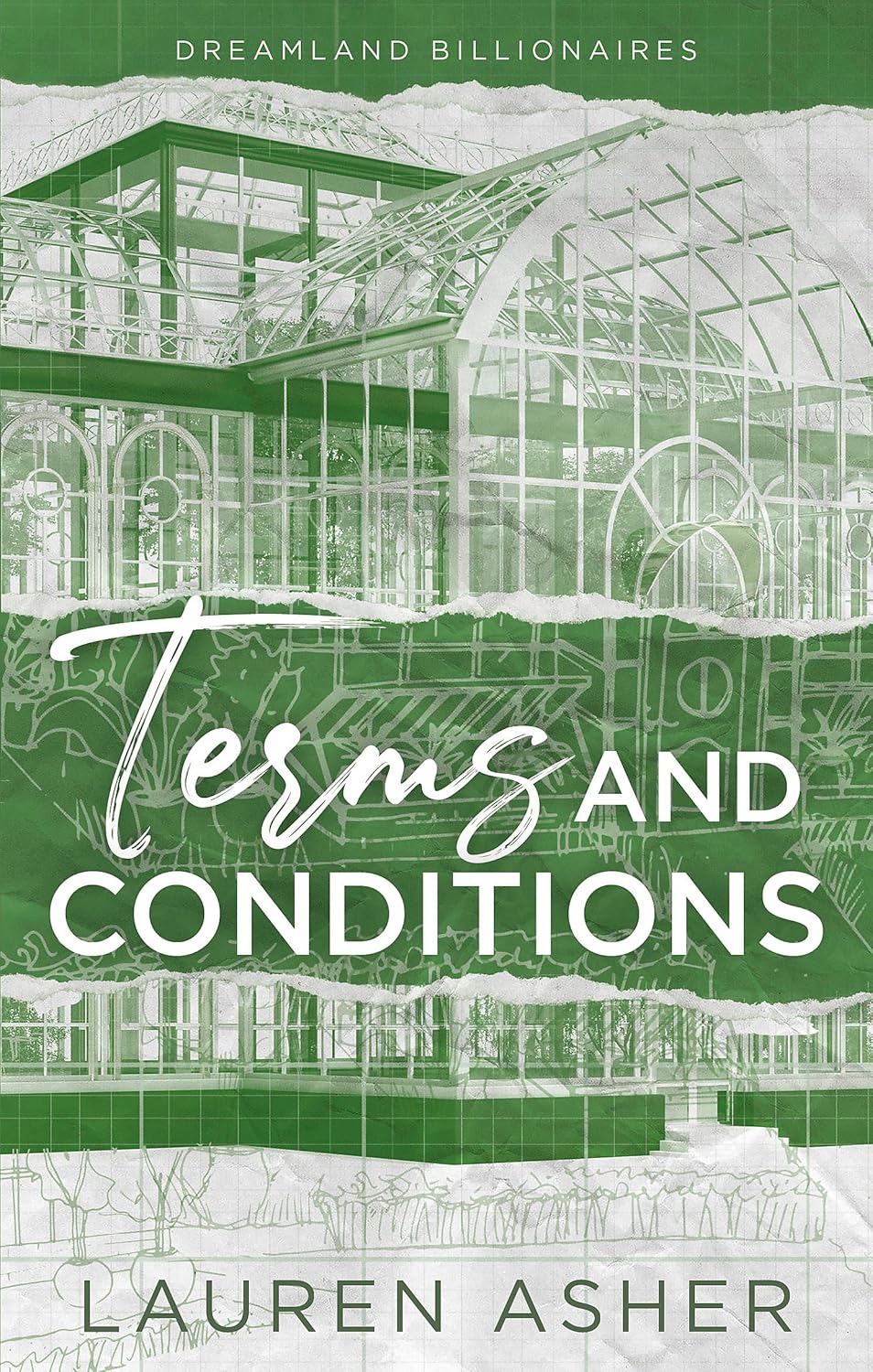 Terms And Conditions: The Tiktok Sensation Meet The Dreamland Billionaires...