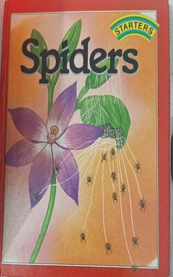 Spiders