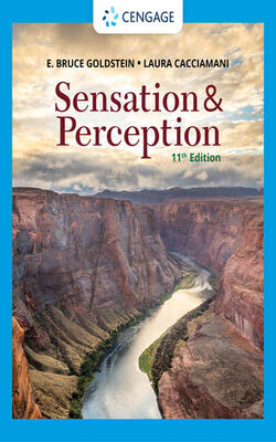 Sensation And Perception: