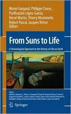 From Suns To Life