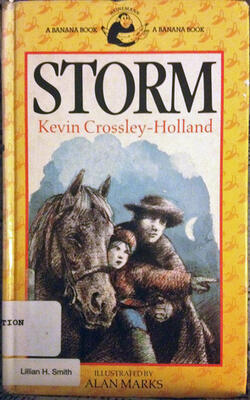 Storm